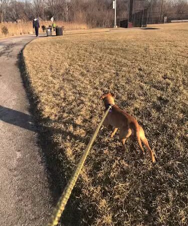 Westvale Park - Westwood, NJ