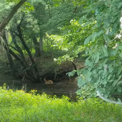 Westvale Park - Westwood, NJ