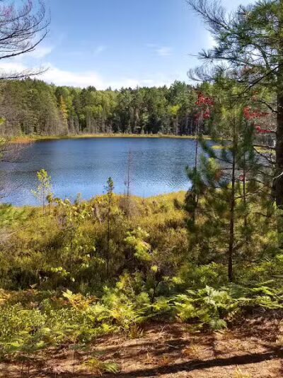 Bruno's Run - Wetmore,