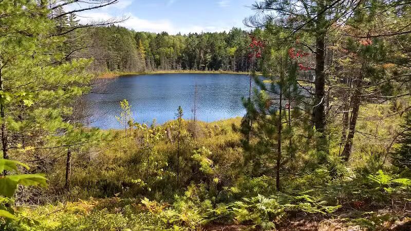 Bruno's Run - Wetmore,