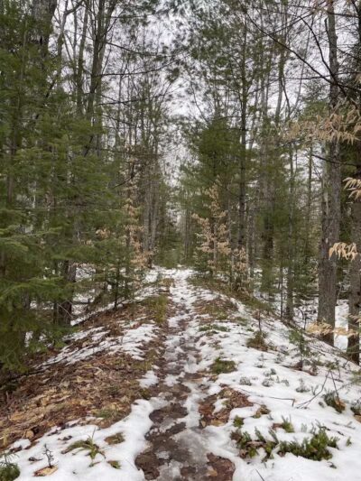 Bruno's Run - Wetmore,