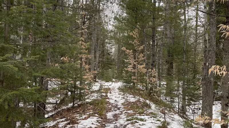 Bruno's Run - Wetmore,