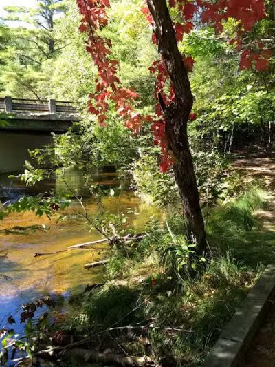 Bruno's Run - Wetmore,