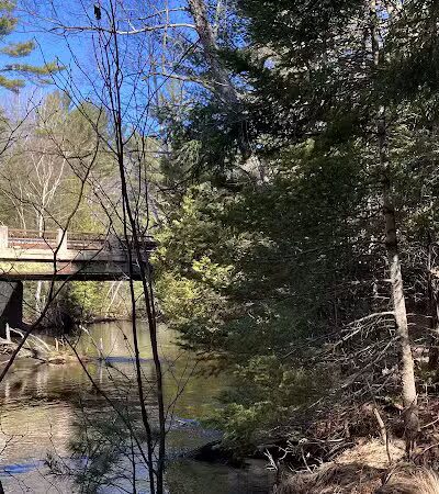 Bruno's Run - Wetmore,