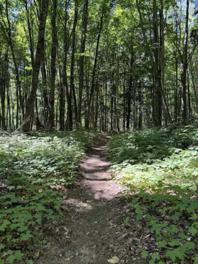 Bruno's Run - Wetmore,