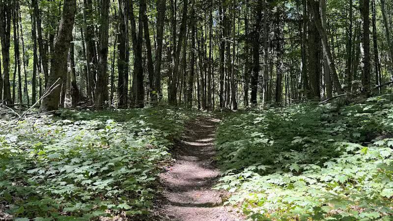 Bruno's Run - Wetmore,