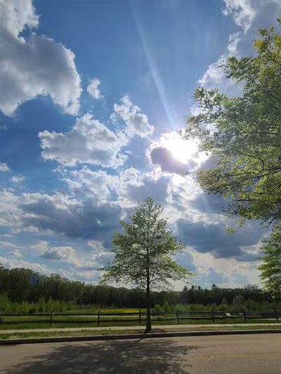 South Field Dog Park - Union Point - Weymouth,