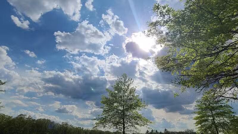 South Field Dog Park - Union Point - Weymouth,