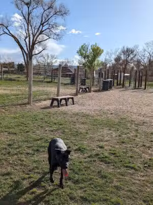 Fruitdale Dog Park - Wheat Ridge, CO