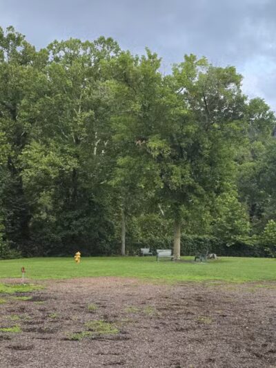 Fitzsimmons Family Dog Park - Wheeling, WV