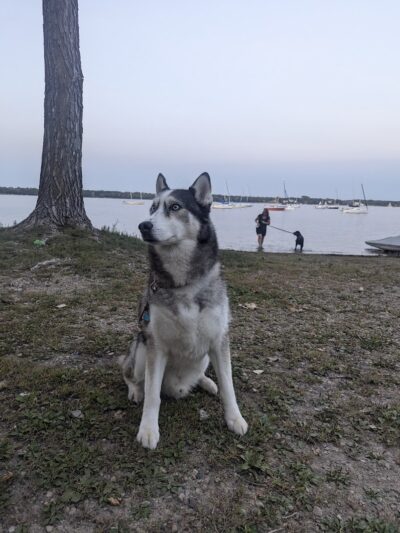 Matoska Beach - White Bear Lake, MN