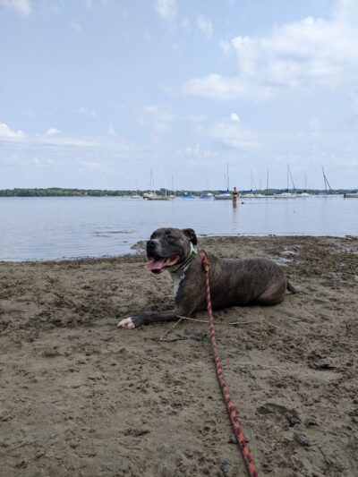 Matoska Beach - White Bear Lake, MN