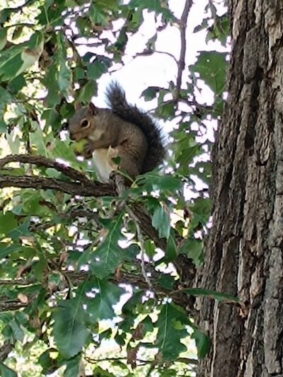 Matoska Beach - White Bear Lake, MN