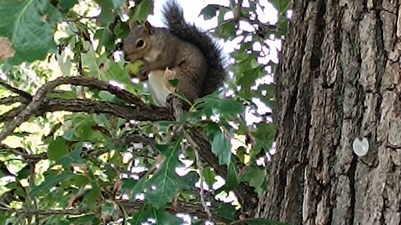 Matoska Beach - White Bear Lake, MN