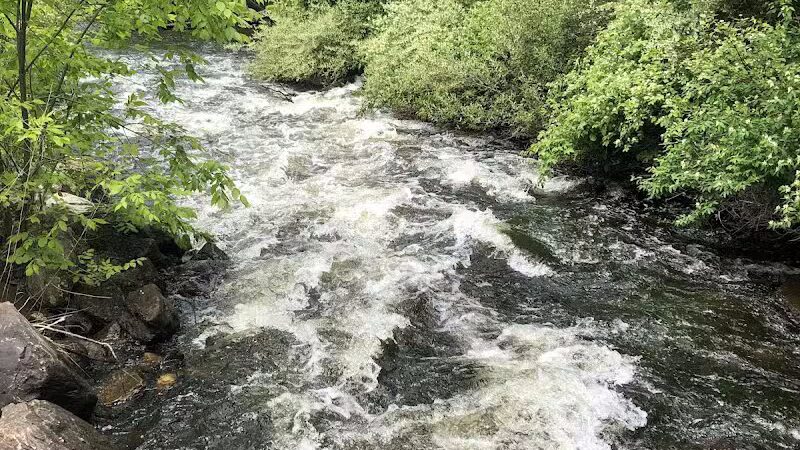 City of White Cloud Rotary Park - White Cloud,