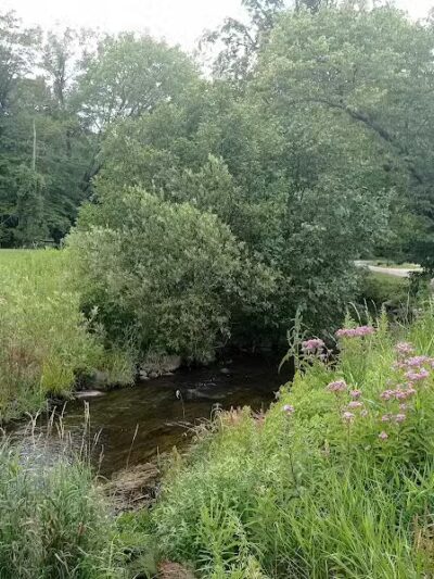 City of White Cloud Rotary Park - White Cloud,