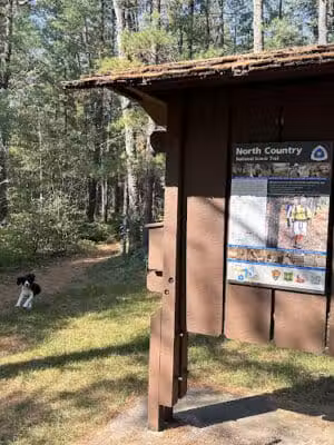 White Cloud Roadside park - White Cloud,