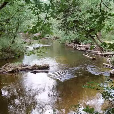 White Cloud County Park - White Cloud,