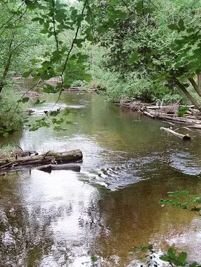 White Cloud County Park - White Cloud,