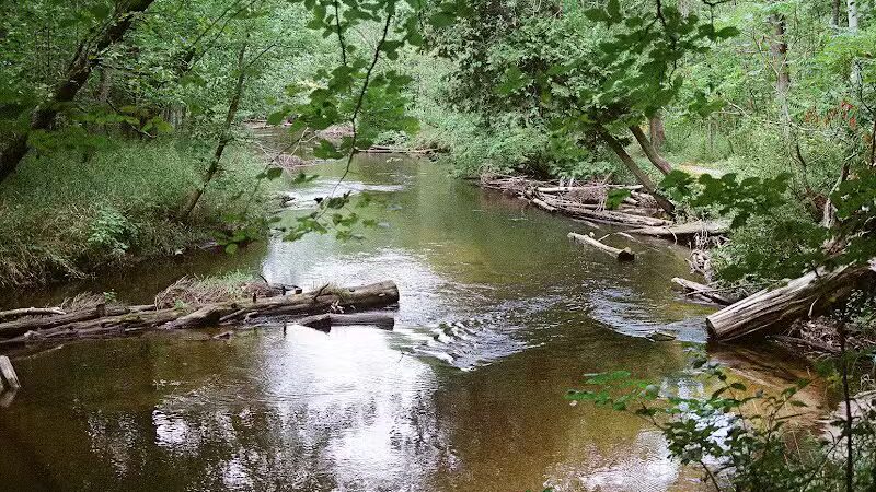 White Cloud County Park - White Cloud,