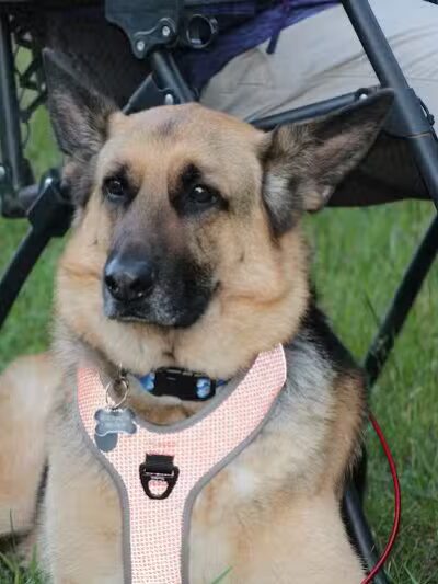 White Cloud County Park - White Cloud,