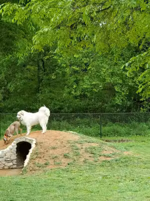 Rover's Ridge Dog Park - White House, TN