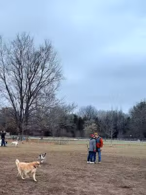 Pontiac Lake Dog Park A & B - White Lake, MI