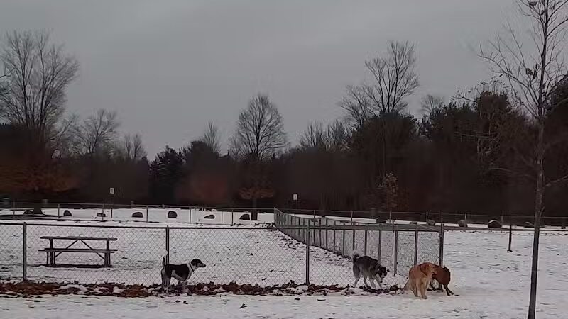 Pontiac Lake Dog Park A & B - White Lake, MI