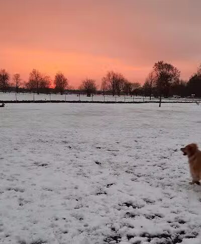 Pontiac Lake Dog Park A & B - White Lake, MI