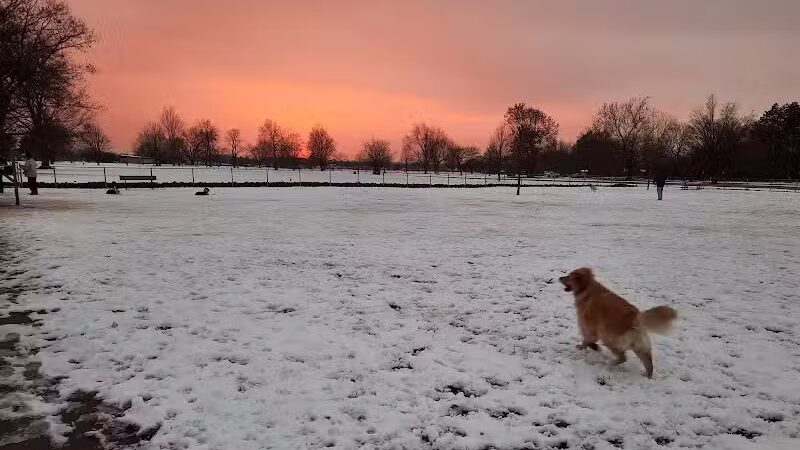 Pontiac Lake Dog Park A & B - White Lake, MI