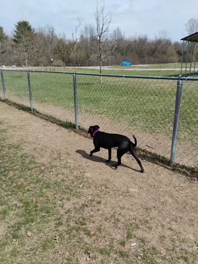Pontiac Lake Dog Park A & B - White Lake, MI