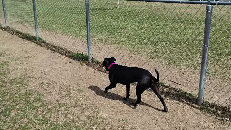 Pontiac Lake Dog Park A & B - White Lake, MI