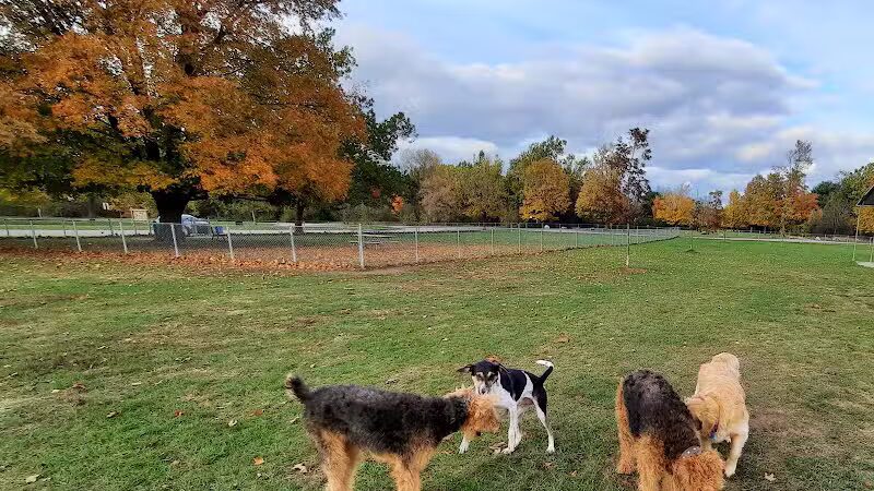 Pontiac Lake Dog Park A & B - White Lake, MI