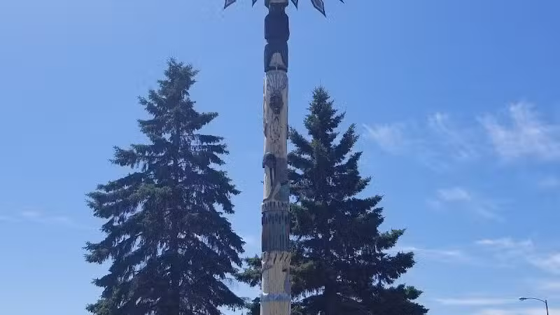 White Pine - White Pine,