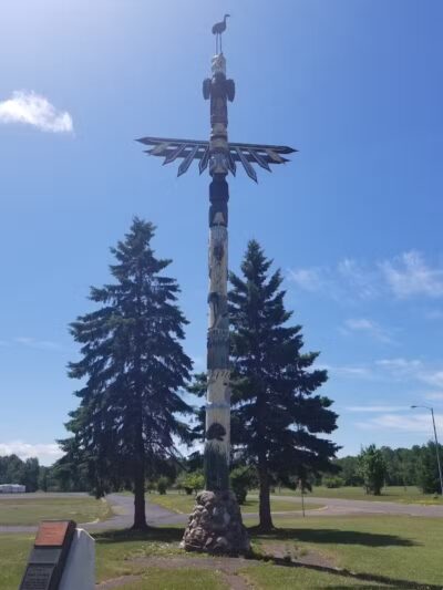 White Pine - White Pine,