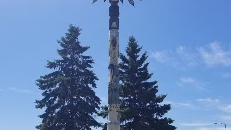 White Pine - White Pine,