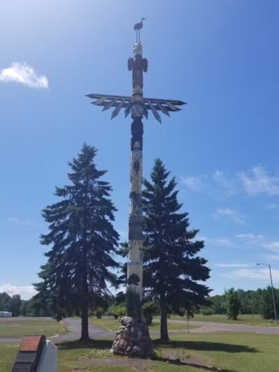 White Pine - White Pine,