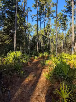 Florida Trail White Springs Tract Trailhead - White Springs, FL