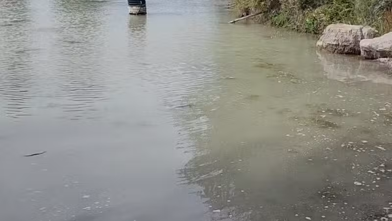 Hugh Rogers Wag Park - Whitefish, MT