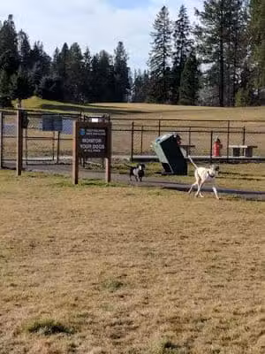 Hugh Rogers Wag Park - Whitefish, MT