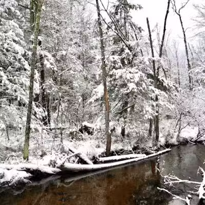 Duck Creek Natural Area - Whitehall,
