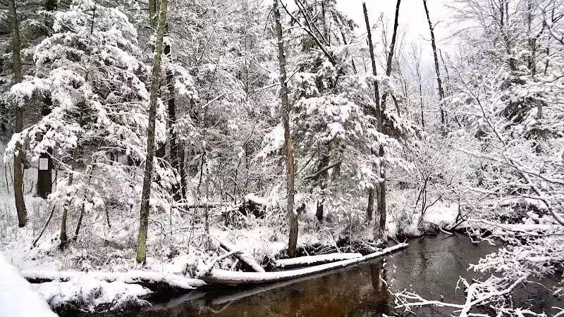 Duck Creek Natural Area - Whitehall,
