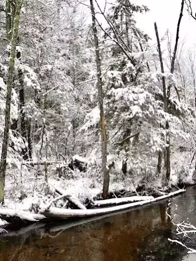 Duck Creek Natural Area - Whitehall,