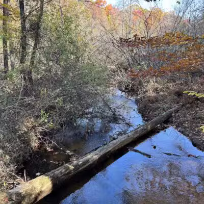 Duck Creek Natural Area - Whitehall,