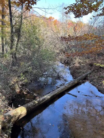 Duck Creek Natural Area - Whitehall,