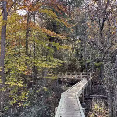 Duck Creek Natural Area - Whitehall,