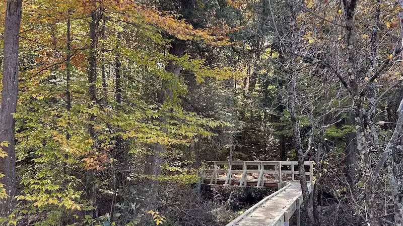 Duck Creek Natural Area - Whitehall,