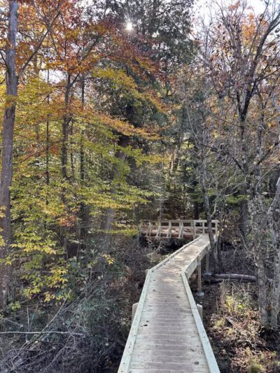 Duck Creek Natural Area - Whitehall,