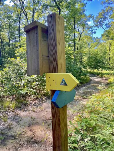 Duck Creek Natural Area - Whitehall,