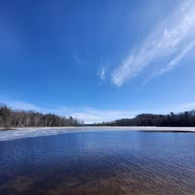 Duck Lake Channel - Whitehall,